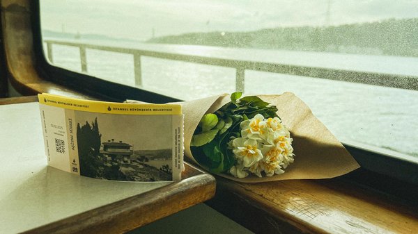 Faire une croisière écologique aux Seychelles